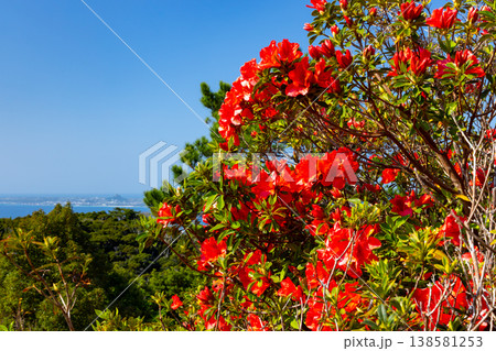 沖縄県国頭郡本部町 もとぶ八重岳桜まつり開催の八重岳山頂付近からつつじと伊江島の景色 沖縄県国頭郡本部町 もとぶ八重岳桜まつり開催の八重岳山頂付近からつつじと伊江島の景色 138581253