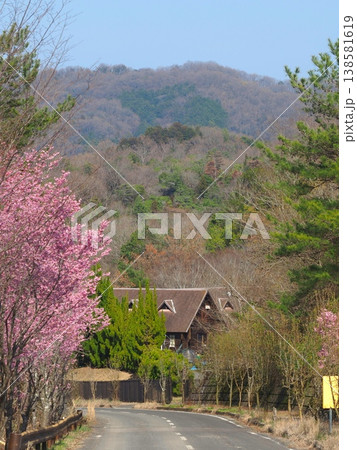陽光桜のある道路　香川県まんのう町　夢桜ロード4 138581619