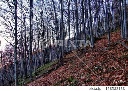 The slope 138582188