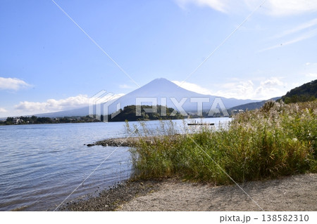 富士山 河口湖大石公園から 富士山 河口湖大石公園から 138582310