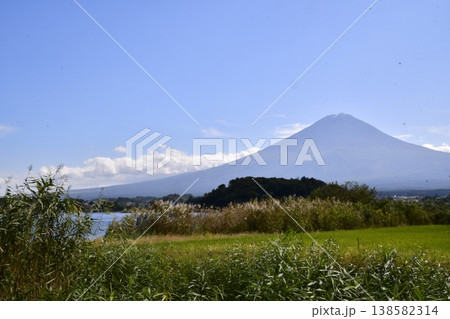 富士山 河口湖大石公園から 富士山 河口湖大石公園から 138582314