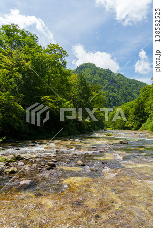 250817長野県奥志賀渓谷雑魚川 250817長野県奥志賀渓谷雑魚川 138582525