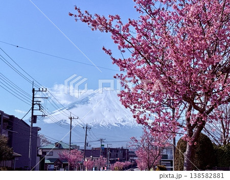春の桜と富士山 春の桜と富士山 138582881