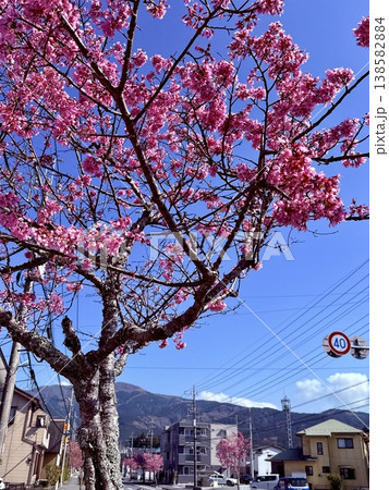 空と桜 138582884