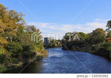 千歳川（北海道千歳市） 138583062