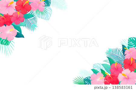 ハイビスカスのフレーム1_横 138583161