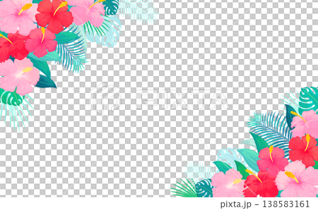 ハイビスカスのフレーム1_横 138583161