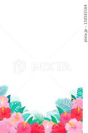 ハイビスカスのフレーム2_縦 138583164