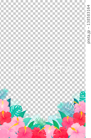 ハイビスカスのフレーム2_縦 138583164