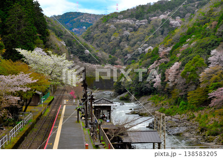 秘境駅の春 秘境駅の春 138583205