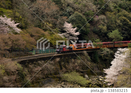保津川沿いを行くトロッコ列車嵯峨野4号 138583215