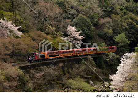 保津川沿いを行くトロッコ列車嵯峨野4号 保津川沿いを行くトロッコ列車嵯峨野4号 138583217