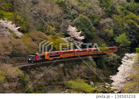 保津川沿いを行くトロッコ列車嵯峨野4号 保津川沿いを行くトロッコ列車嵯峨野4号 138583218