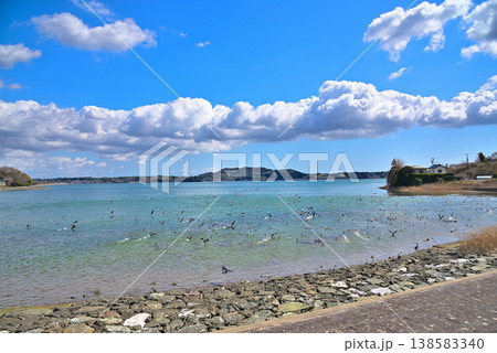 《静岡県》浜名湖から飛び立つ鳥の群れ 138583340