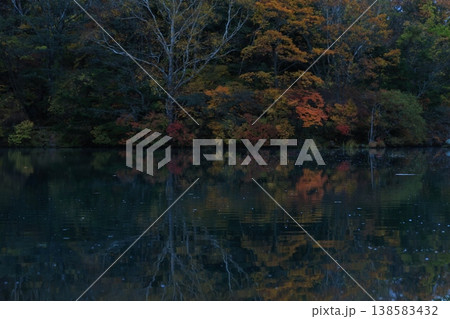 水面に映る紅葉 水面に映る紅葉 138583432
