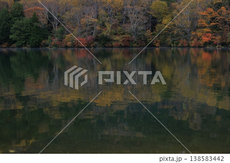 水面に映る紅葉 水面に映る紅葉 138583442