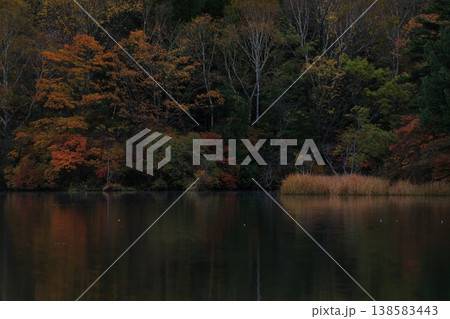 水面に映る紅葉 水面に映る紅葉 138583443