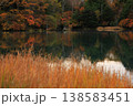 水面に映る紅葉 138583451