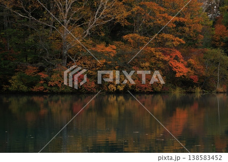 水面に映る紅葉 水面に映る紅葉 138583452