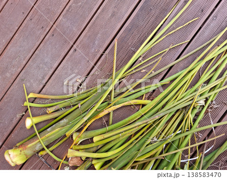 Taro stem 138583470