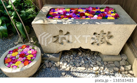 3月の花手水(薔薇・ガーベラ・サイネリア・デンファレ・カーネーション)〈菅生神社/愛知県岡崎市〉 138583483