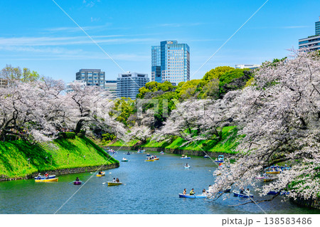 東京都　千鳥ヶ淵　ボート場　満開の桜　令和8年 138583486