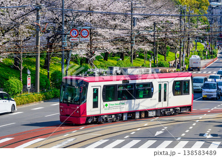東京さくらトラム トラムと飛鳥山公園満開の桜 東京さくらトラム トラムと飛鳥山公園満開の桜 138583489