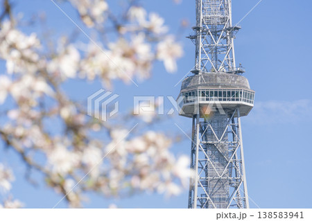 名古屋 栄 都市風景　シテコブシと中部ミライタワー 138583941