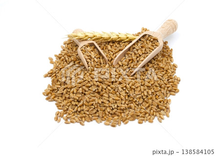 Wheat grain seeds spilling from two wooden scoops Wheat grain seeds spilling from two wooden scoops 138584105