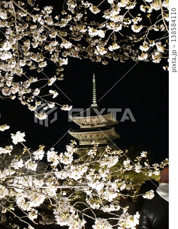 東寺 ライトアップ 東寺 ライトアップ 138584110