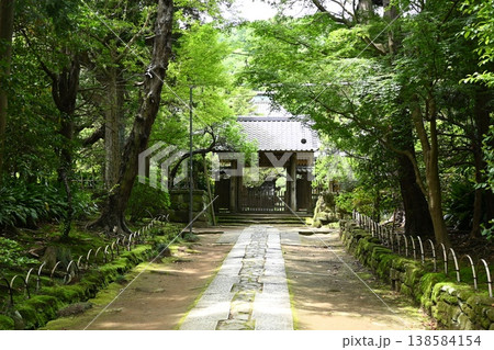 新緑に包まれた寿福寺の参道 新緑に包まれた寿福寺の参道 138584154