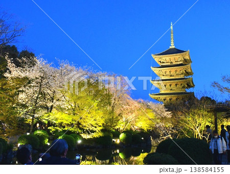京都 東寺 京都 東寺 138584155