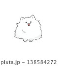 お座りしている小さいポメラニアン 138584272