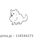 小さいポメラニアン 138584273