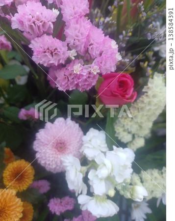 カラフルな菊の花 カラフルな菊の花 138584391