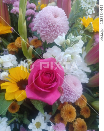 鮮やかな花 138584445