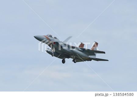 着陸態勢の飛行教導群　アグレッサー部隊のF-15ⅮJ 138584580