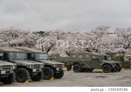 陸上自衛隊と桜 陸上自衛隊と桜 138584596