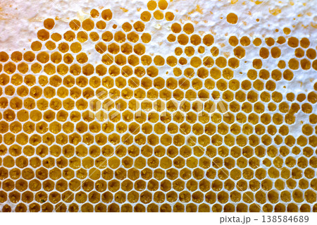 Honeycomb structure in bright yellow hue found in beehive during summer season Honeycomb structure in bright yellow hue found in beehive during summer season 138584689