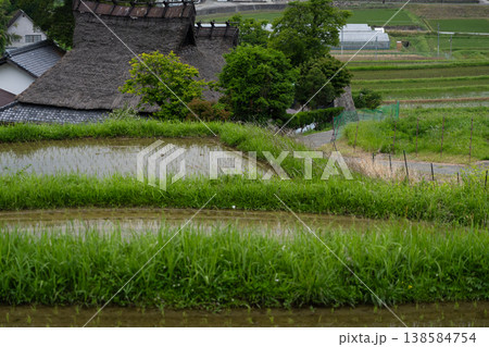 大阪府能勢町長谷で撮影した終わった終わった棚田の 138584754