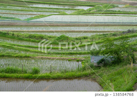 大阪府能勢町長谷で撮影した終わった終わった棚田の 大阪府能勢町長谷で撮影した終わった終わった棚田の 138584768