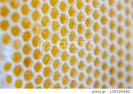 Close up view of honeycomb showing hexagonal shapes filled with honey during daylight Close up view of honeycomb showing hexagonal shapes filled with honey during daylight 138584890