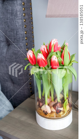 Fresh red tulips in a clear glass vase on a wooden bedside table next to a stylish gray upholstered headboard Fresh red tulips in a clear glass vase on a wooden bedside table next to a stylish gray upholstered headboard 138585051