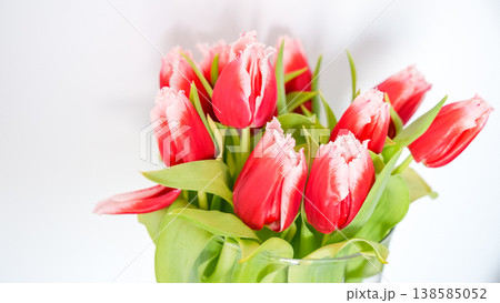 Red and white tulips arranged in a clear glass vase against a white background, showcasing vibrant floral details and green leaves Red and white tulips arranged in a clear glass vase against a white background, showcasing vibrant floral details and green leaves 138585052