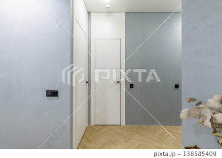 Minimalist Hallway with Two Flush Doors and Parquet Floor 138585409