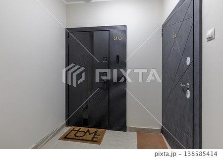 Modern Apartment Entrance Hall with Two Stylish Doors 138585414