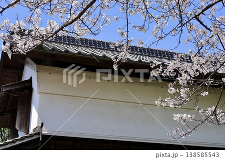 青空に映える蔵の漆喰の壁と瓦屋根と満開の桜 埼玉県難波田城公園 青空に映える蔵の漆喰の壁と瓦屋根と満開の桜 埼玉県難波田城公園 138585543
