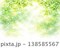 新緑と木漏れ日のやさしい背景イラスト　AI 138585567