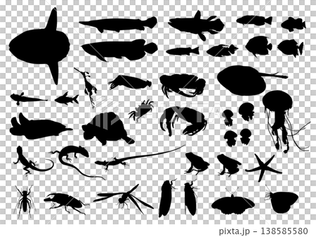 Animal silhouette material set [Fish, reptiles, insects] 138585580