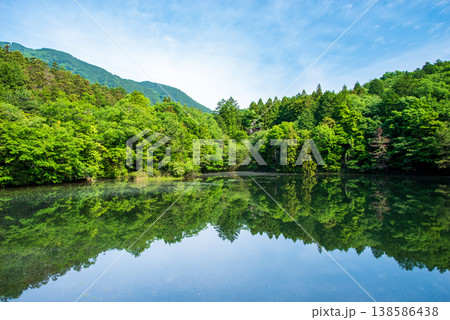 新緑に包まれた鈴鹿山麓の神秘的な池「大谷池」《三重県 四日市市 水沢町》 138586438